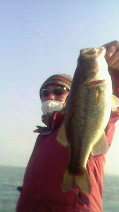 200902040914000.jpg