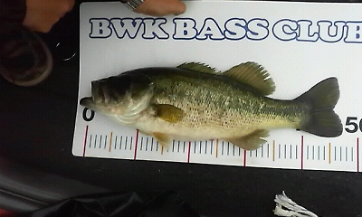 200905041500000.jpg