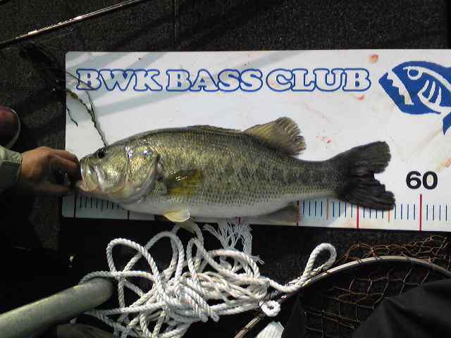 Image0511.jpg