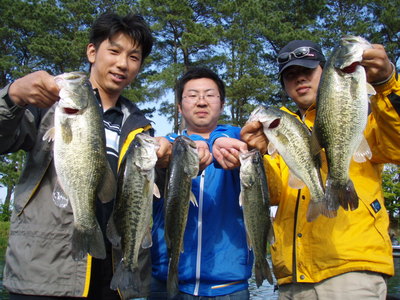 画像 152.jpg