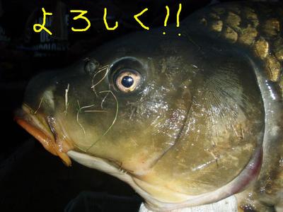 画像 016.jpg