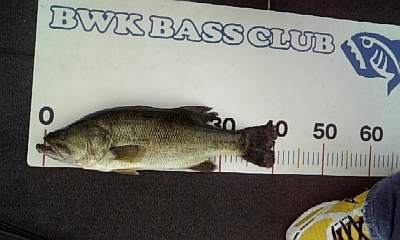 090802_161341.jpg