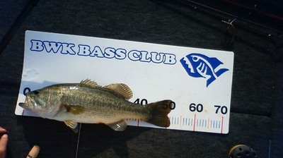 200909050723001.jpg