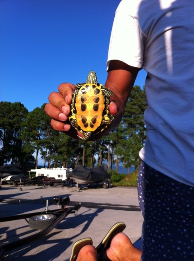 20120825__ 1.JPG