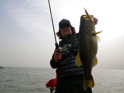 54cm_2500g_2.jpg