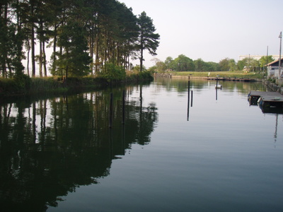 P5200044.JPG
