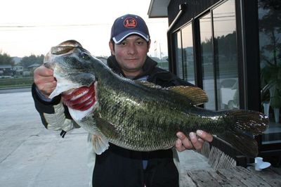 61cm！