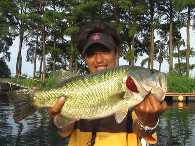 IMGA0409.JPG
