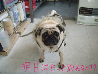 画像 029.jpg