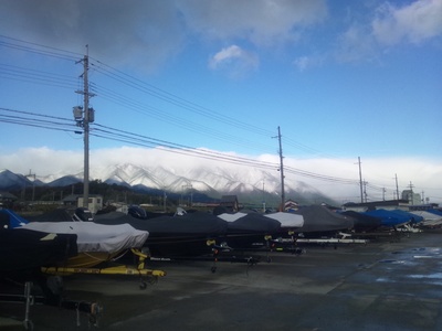 雪化粧なう