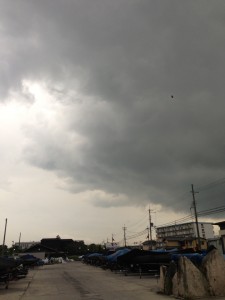 台風について。