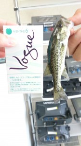 サクサクと・・