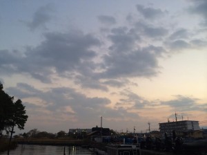 なんなんだろう