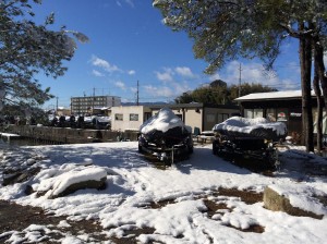 初雪