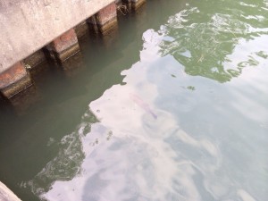 blog-2