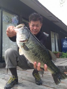 ６月８日　釣果