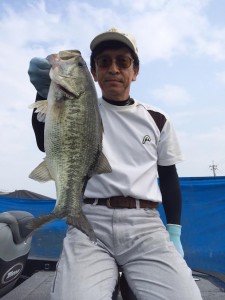 ６月２９日