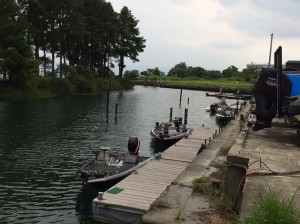 雷がゴロゴロと・・