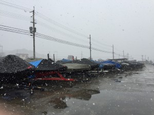 雪！