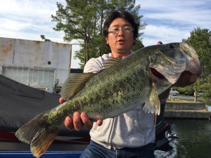 釣果情報5/17