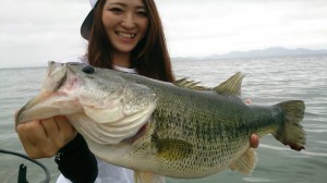 釣果情報5/19