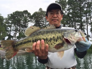 釣果情報5/30