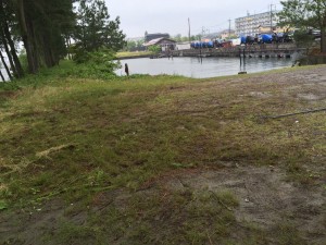 草刈り