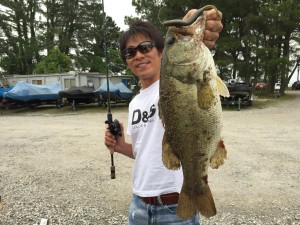 釣果情報6/13