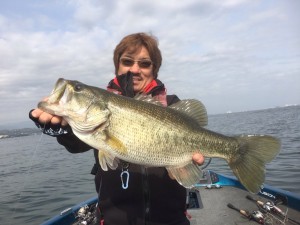 釣果情報11/22