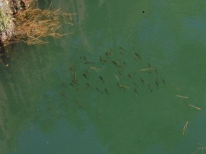 寒いです。