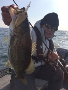 2016年もよろしくお願い致します！