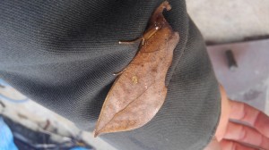 釣れそうな予感