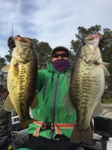 BASS
