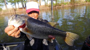 釣れてます！
