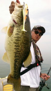 釣れてますよ！