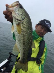 釣れ釣れ