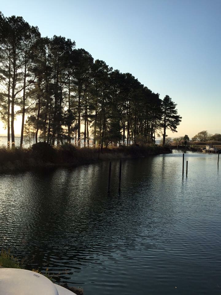 やべきょうすけ