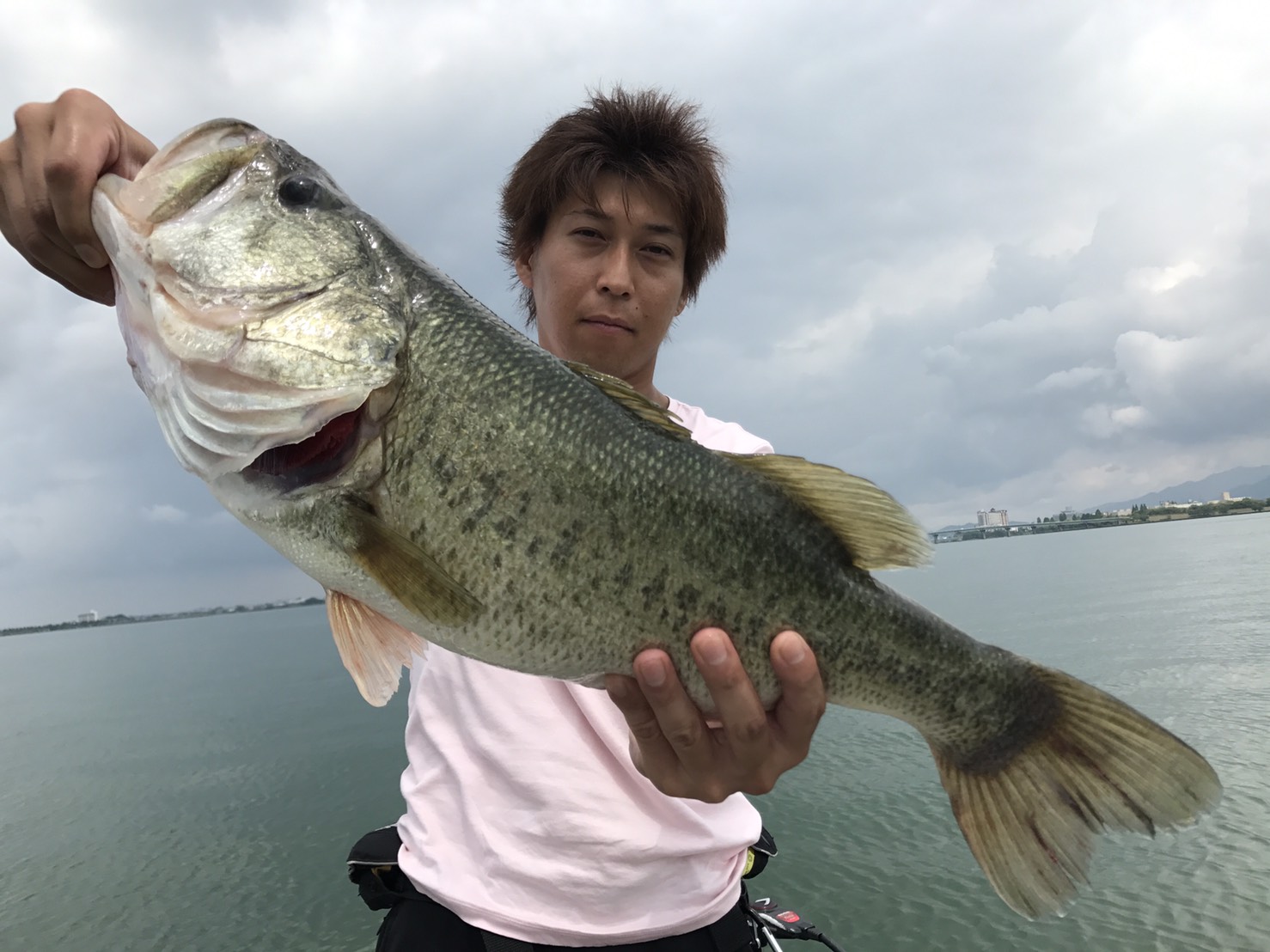 アナコンダガイド