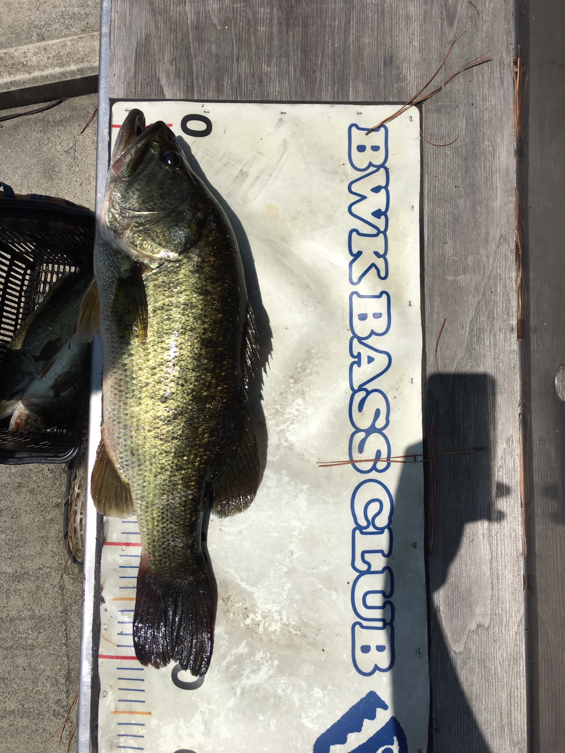 台風接近中恐ろしい