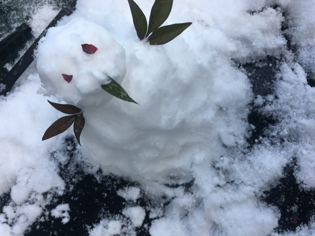 お久しぶりです