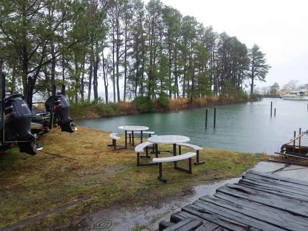 バスってオモロイ魚！！