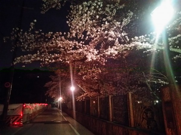 色々まとめてお伝えします。W