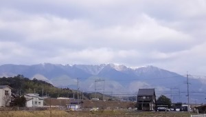 今日は寒いです