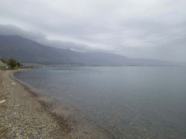 鮒もスポーニングしてます！！