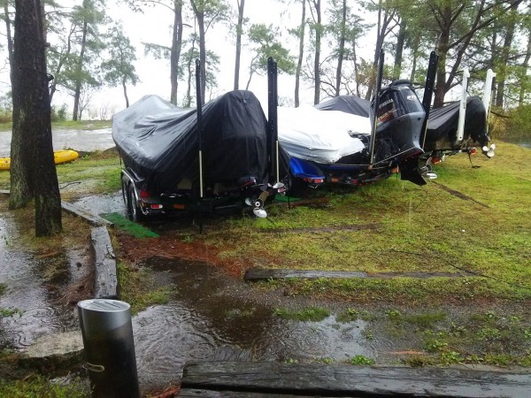 今日は雨と風です。