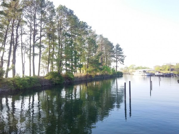 夏日の週末！！