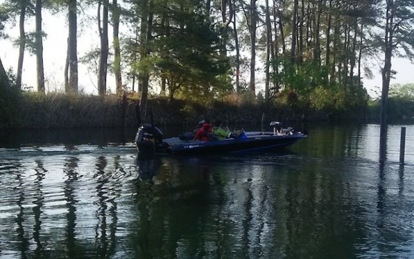 あちらこちらでスポーンの臭いがしますね！！