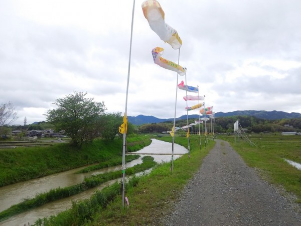 もうGWですね！！（昨日のアメブロ分です）