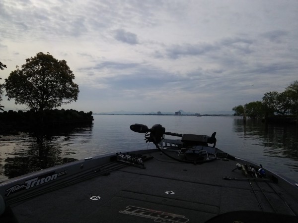 昨日までか〜・・・？