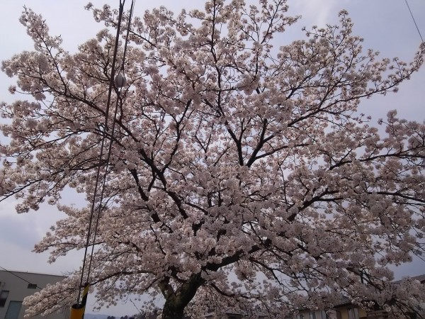 榎並さんと同船レクチャー